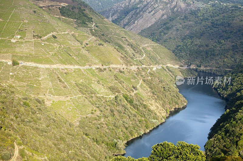 梯田葡萄园，河流Sil峡谷，加利西亚的Ribeira Sacra ..